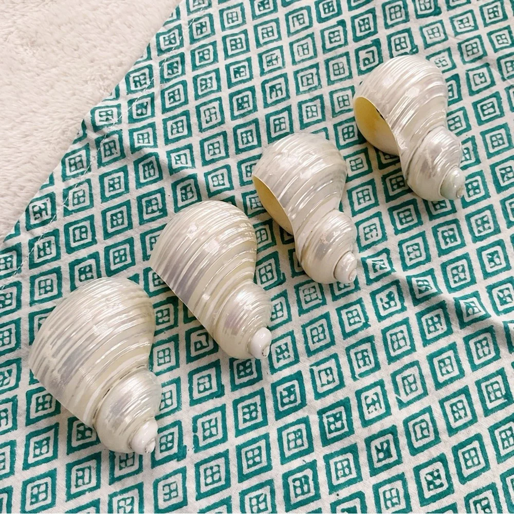 Vintage Shell Napkin Rings Set of 4 Coastal Beach Decor 1970s Seashell